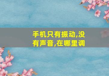 手机只有振动,没有声音,在哪里调