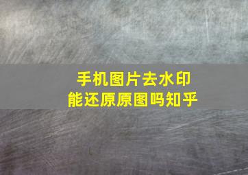 手机图片去水印能还原原图吗知乎