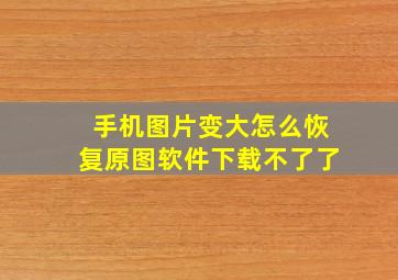 手机图片变大怎么恢复原图软件下载不了了