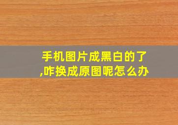 手机图片成黑白的了,咋换成原图呢怎么办