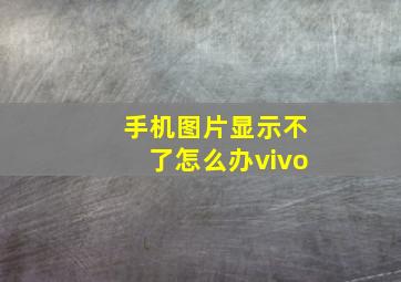 手机图片显示不了怎么办vivo