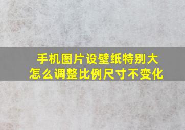 手机图片设壁纸特别大怎么调整比例尺寸不变化