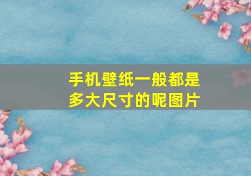 手机壁纸一般都是多大尺寸的呢图片