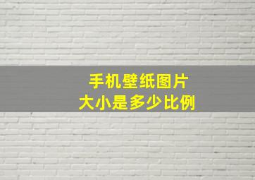 手机壁纸图片大小是多少比例