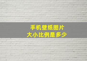 手机壁纸图片大小比例是多少