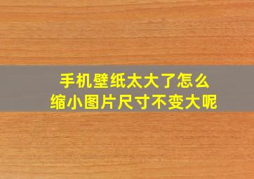 手机壁纸太大了怎么缩小图片尺寸不变大呢