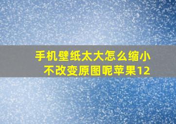 手机壁纸太大怎么缩小不改变原图呢苹果12