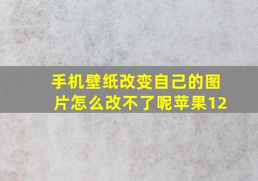 手机壁纸改变自己的图片怎么改不了呢苹果12