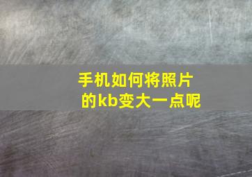 手机如何将照片的kb变大一点呢