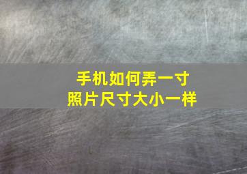 手机如何弄一寸照片尺寸大小一样