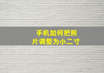 手机如何把照片调整为小二寸