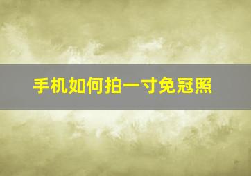 手机如何拍一寸免冠照