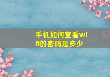 手机如何查看wifi的密码是多少