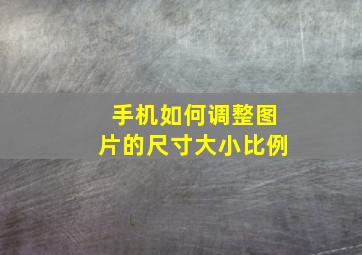 手机如何调整图片的尺寸大小比例