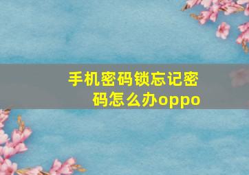 手机密码锁忘记密码怎么办oppo