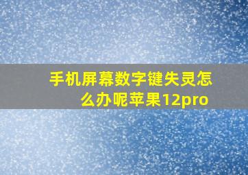 手机屏幕数字键失灵怎么办呢苹果12pro