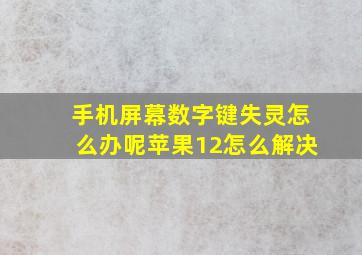 手机屏幕数字键失灵怎么办呢苹果12怎么解决