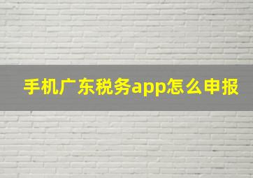 手机广东税务app怎么申报