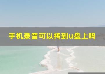 手机录音可以拷到u盘上吗