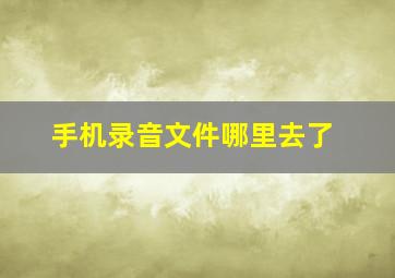 手机录音文件哪里去了