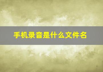 手机录音是什么文件名