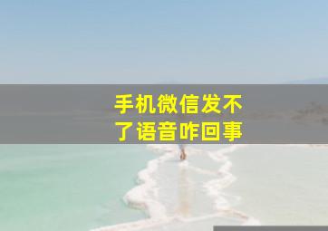 手机微信发不了语音咋回事