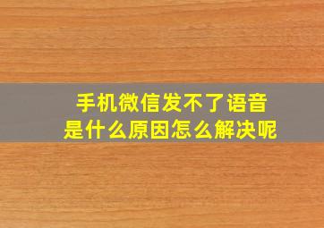 手机微信发不了语音是什么原因怎么解决呢