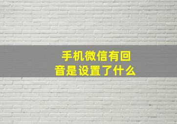 手机微信有回音是设置了什么