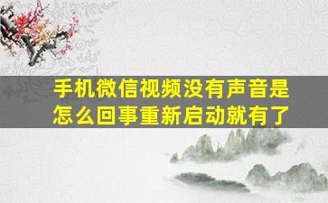 手机微信视频没有声音是怎么回事重新启动就有了