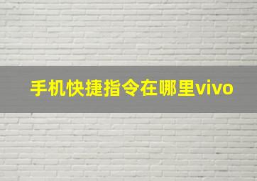 手机快捷指令在哪里vivo