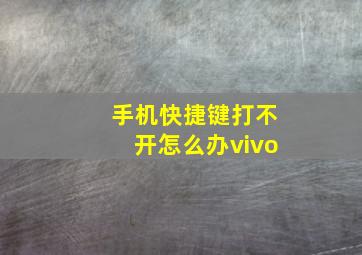 手机快捷键打不开怎么办vivo