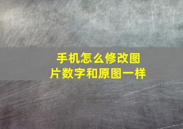 手机怎么修改图片数字和原图一样