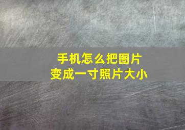 手机怎么把图片变成一寸照片大小