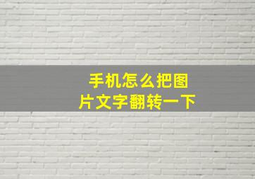 手机怎么把图片文字翻转一下