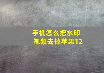 手机怎么把水印视频去掉苹果12