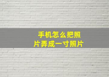 手机怎么把照片弄成一寸照片