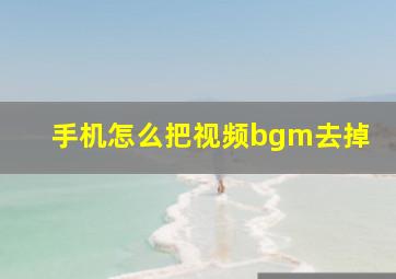 手机怎么把视频bgm去掉