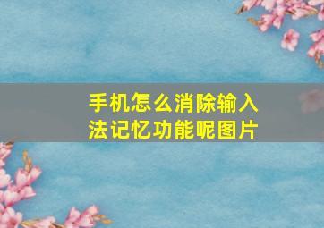 手机怎么消除输入法记忆功能呢图片