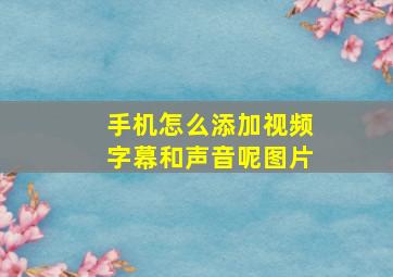 手机怎么添加视频字幕和声音呢图片