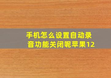 手机怎么设置自动录音功能关闭呢苹果12