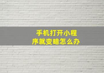 手机打开小程序就变暗怎么办