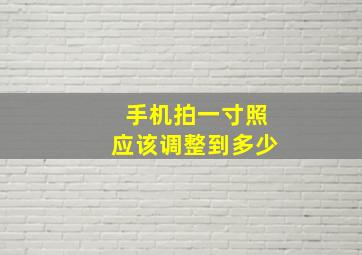 手机拍一寸照应该调整到多少