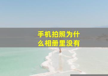 手机拍照为什么相册里没有