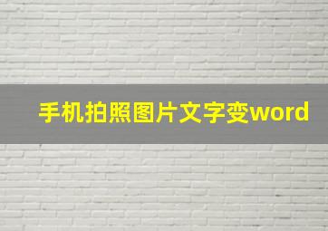 手机拍照图片文字变word