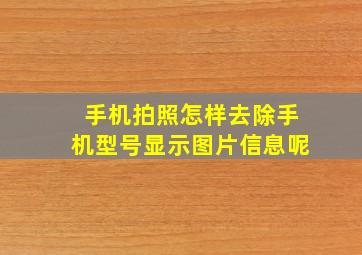 手机拍照怎样去除手机型号显示图片信息呢