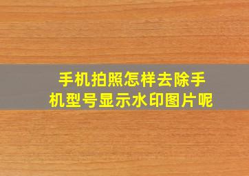 手机拍照怎样去除手机型号显示水印图片呢