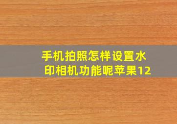 手机拍照怎样设置水印相机功能呢苹果12