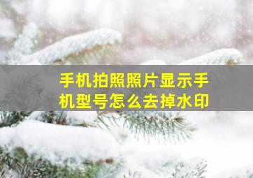 手机拍照照片显示手机型号怎么去掉水印