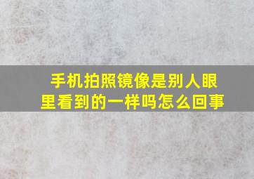 手机拍照镜像是别人眼里看到的一样吗怎么回事