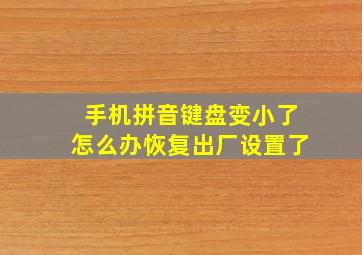 手机拼音键盘变小了怎么办恢复出厂设置了